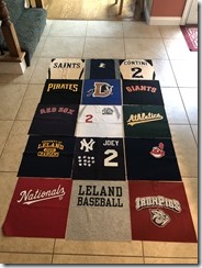 Joey's Quilt Layout